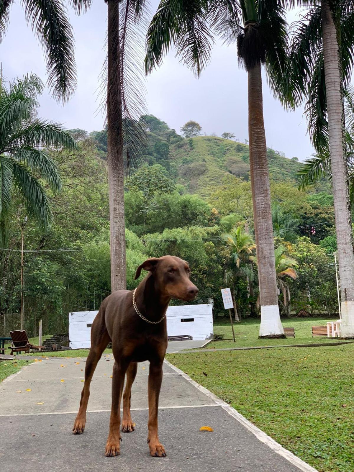 Finca Hotel La Consentida Escondida San Jerónimo エクステリア 写真