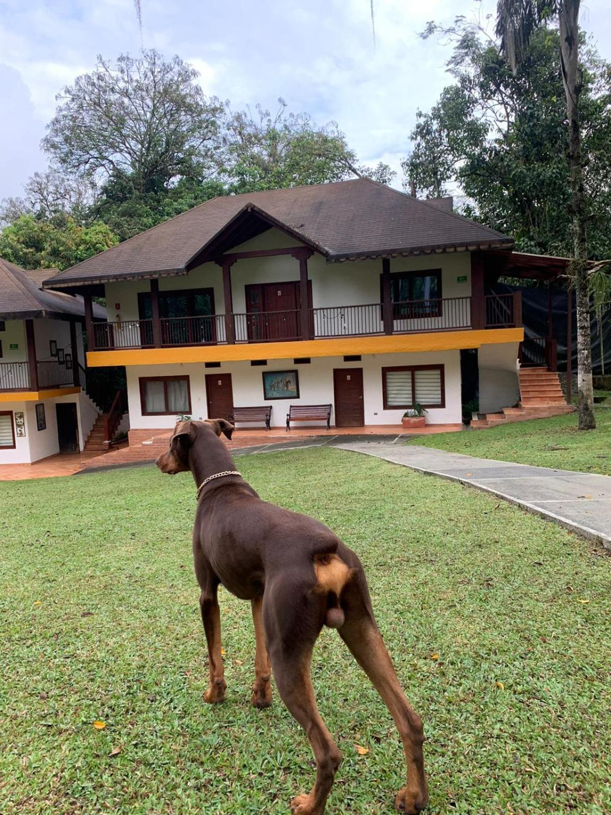 Finca Hotel La Consentida Escondida San Jerónimo エクステリア 写真